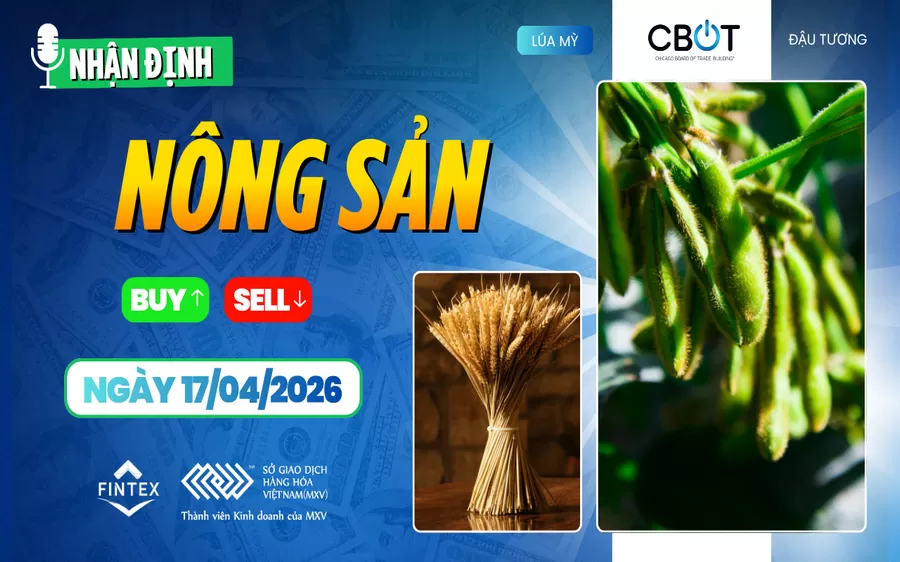 NHẬN ĐỊNH THỊ TRƯỜNG NÔNG SẢN NGÀY 17/04/2026